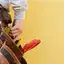 Handyman repair service in Allentown, PA for home fixes and improvements